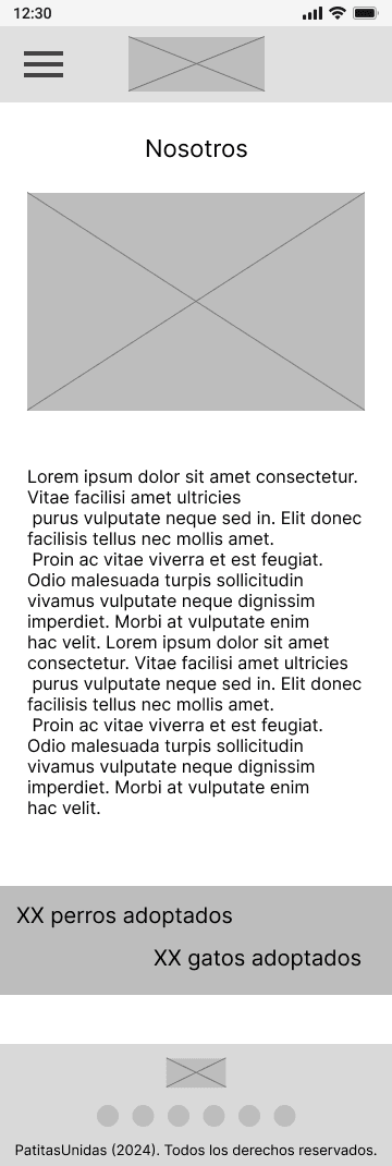 Nosotros Patitas Unidas Wireframe